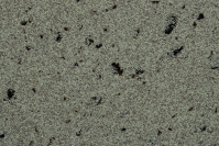 BUP- Natura Nr.70 (mozaīkas apmetums) 25 kg. gab. 80.00 €